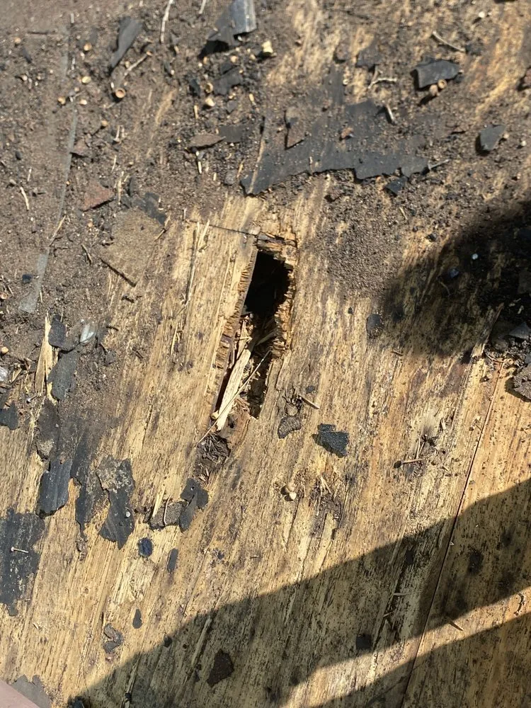 Slide of LA Construction Services