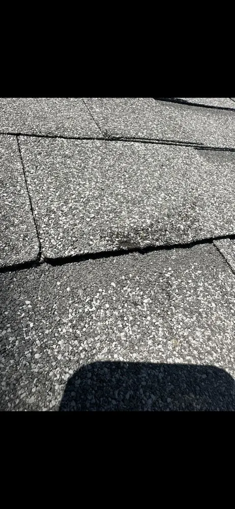 Slide of LA Green Development