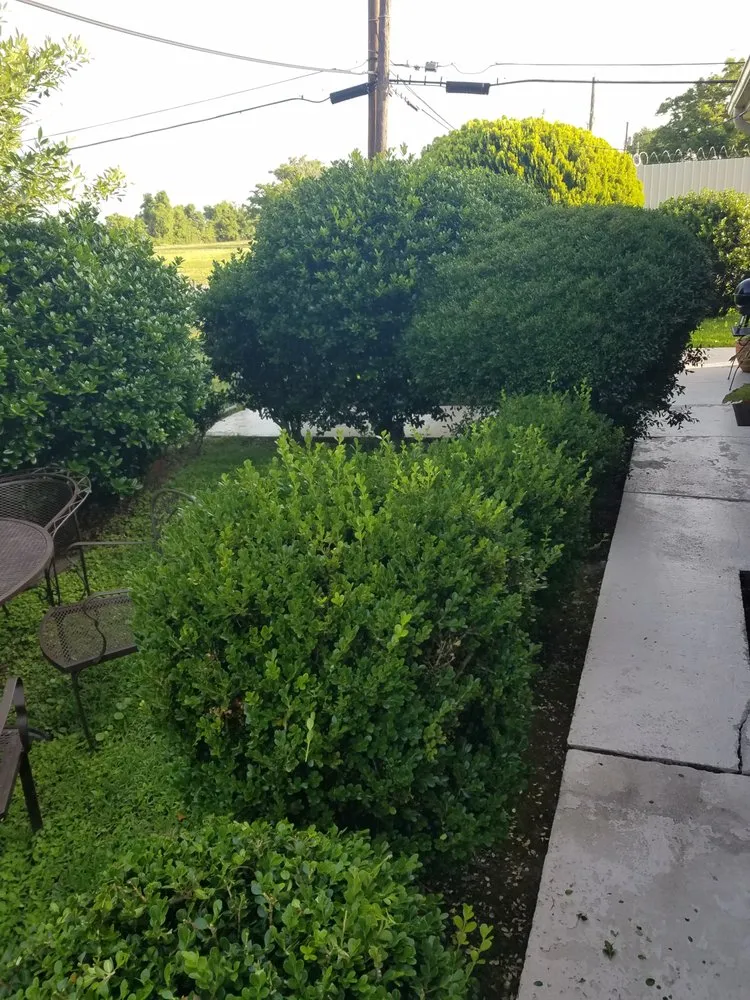 Slide of LA Handyman Services