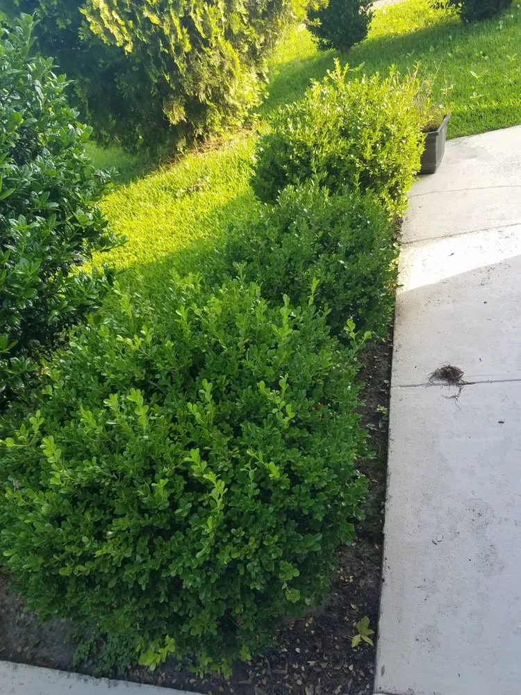 Slide of LA Handyman Services