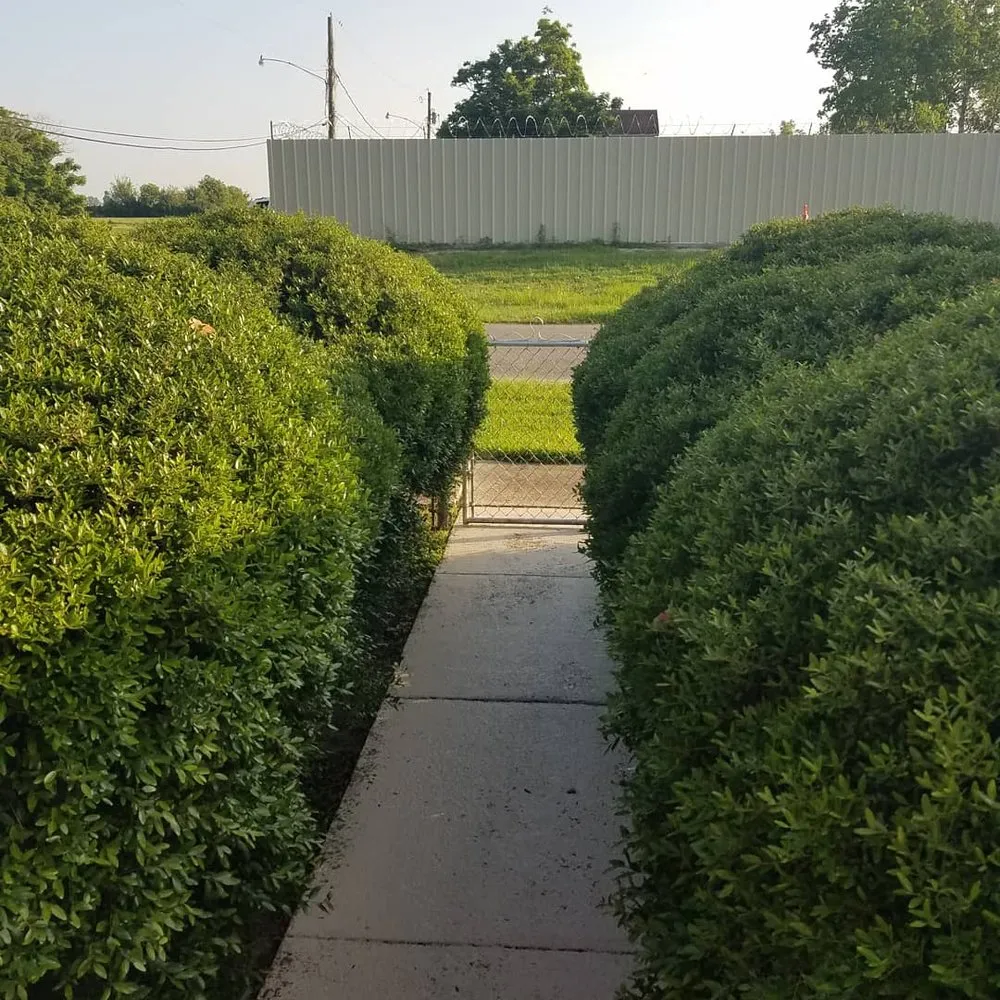 Slide of LA Handyman Services