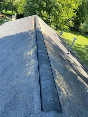 Slide of LA Renovates