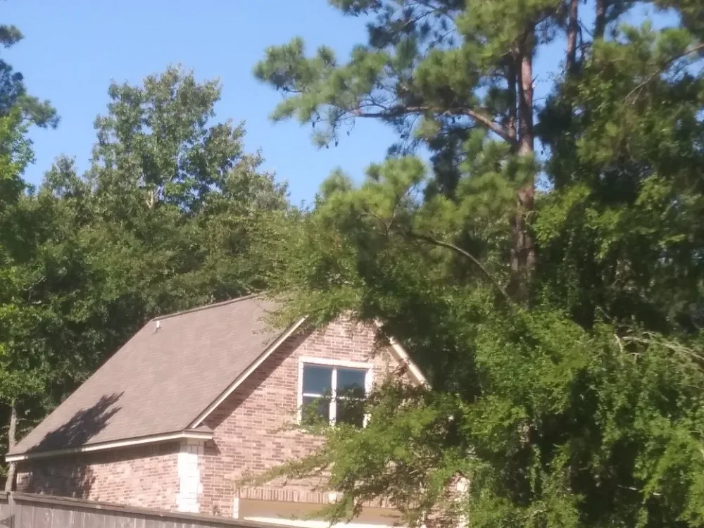Emergency flat roof repair experts serving New Caney, TX - LA Roof N Patch