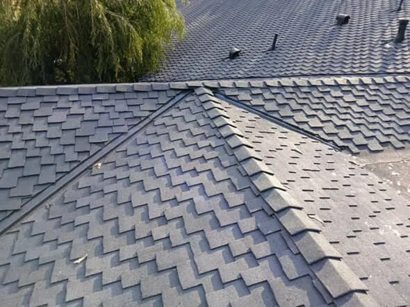 Slide of LA Roof Toppers