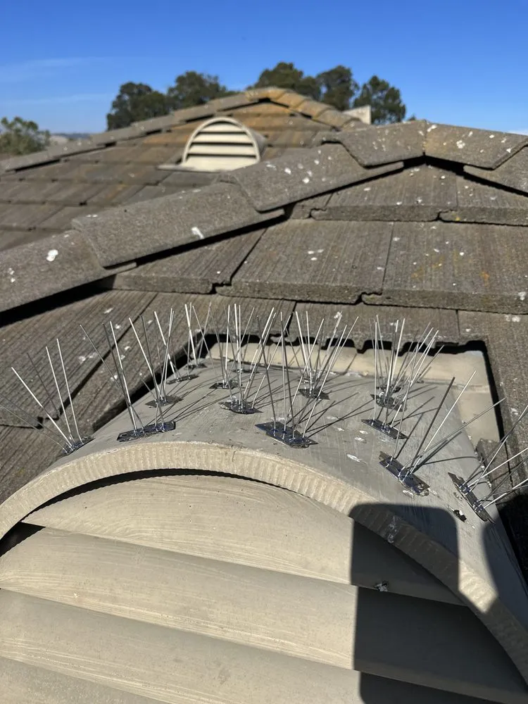 Slide of LAAC Roofing Services