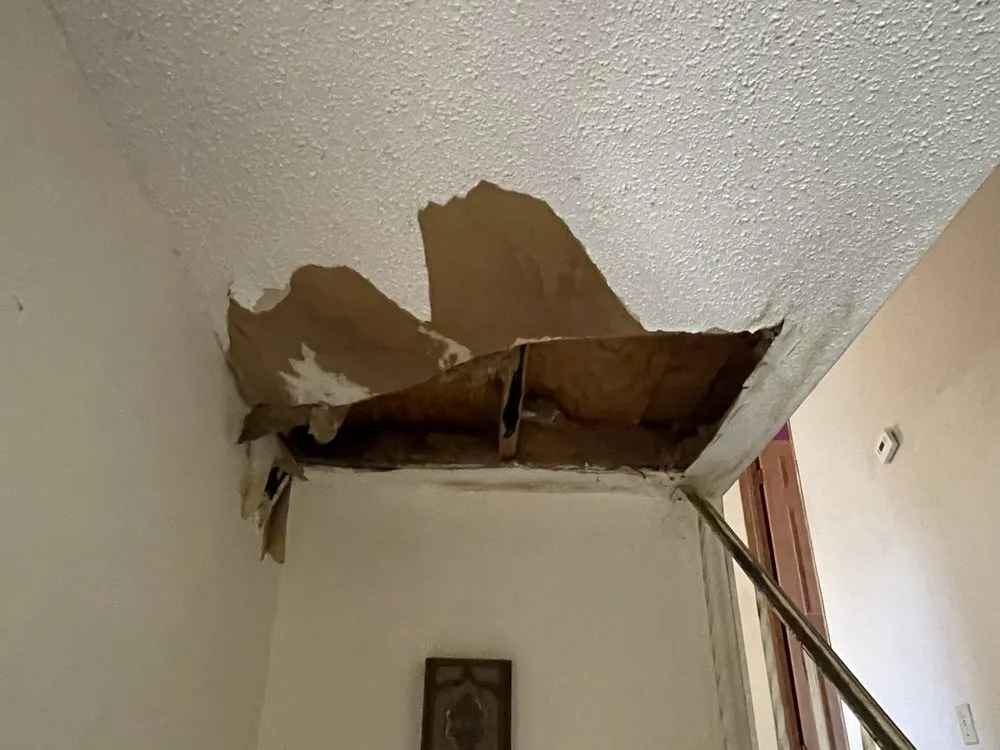 Slide of Lack of Loyalty