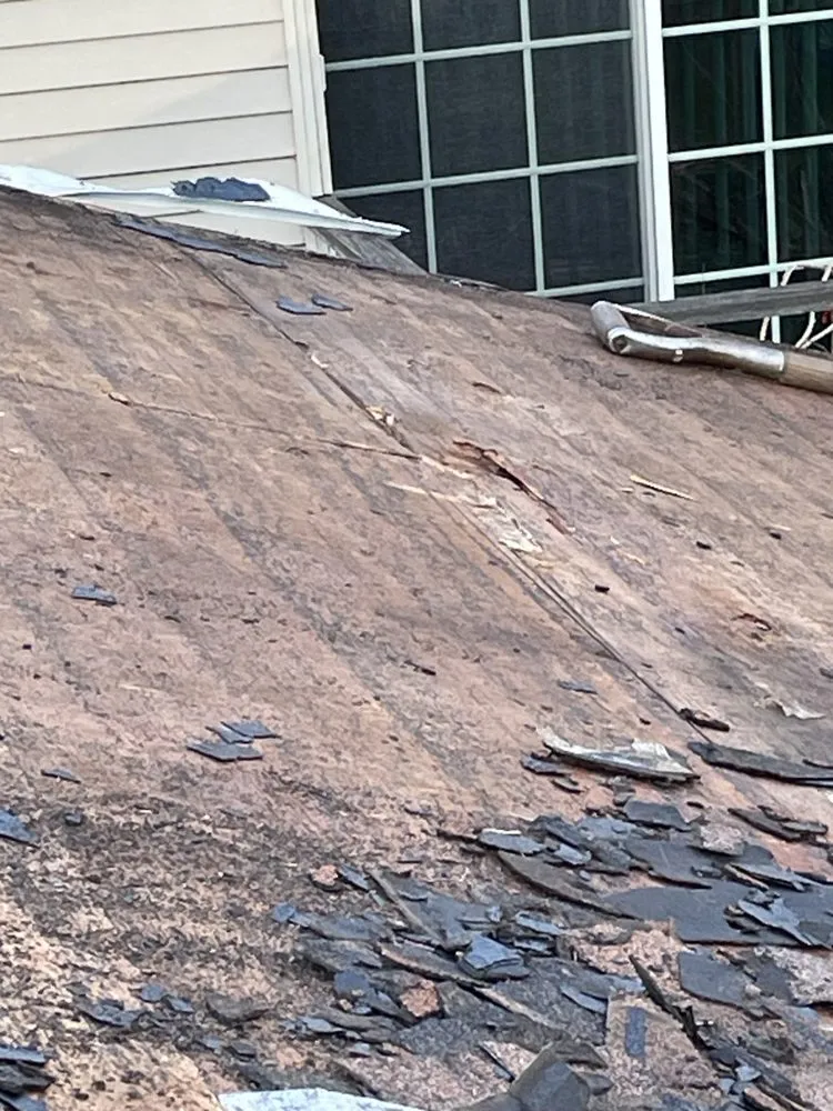 Slide of Lack of Loyalty