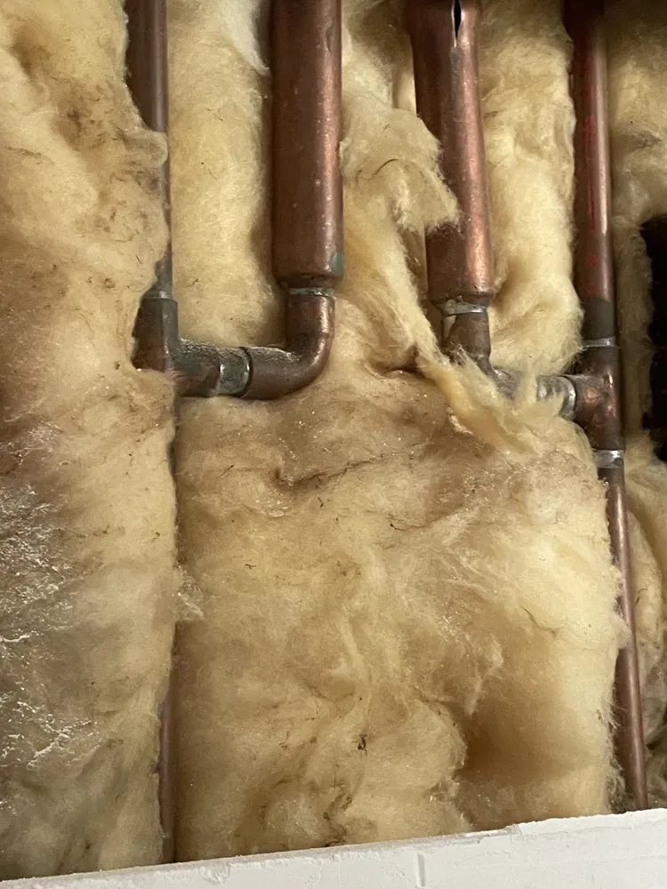 Slide of Lack of Loyalty