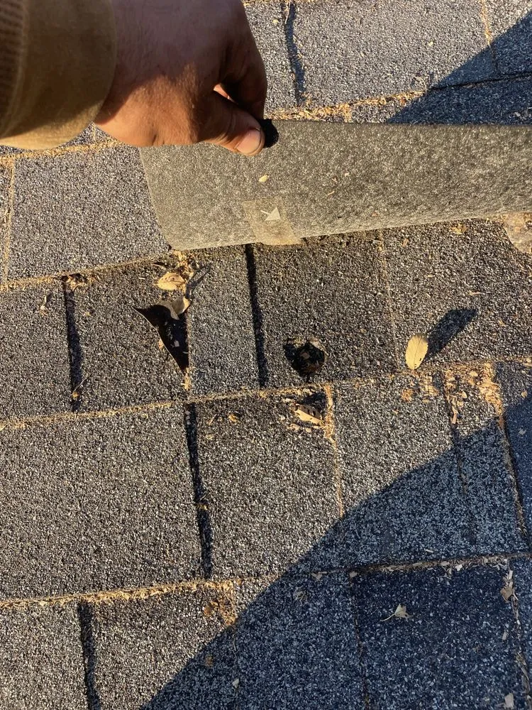 Slide of LAD Services