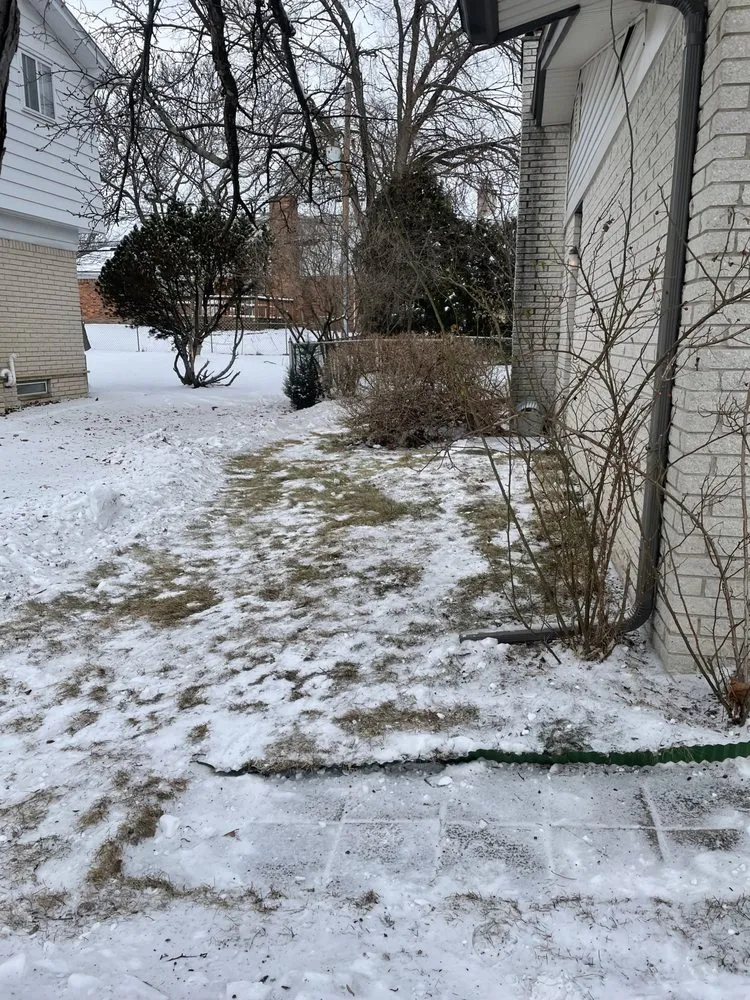 Slide of LAD Services