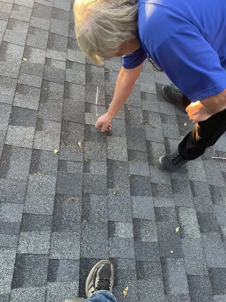 Slide of LAD Services