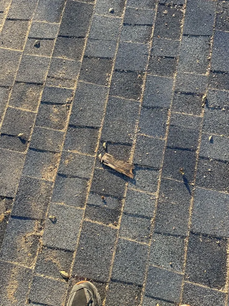 Slide of LAD Services