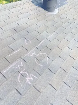 Lady On The Roof Logo