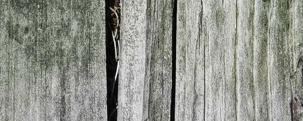 Slide of Lake Area Exteriors