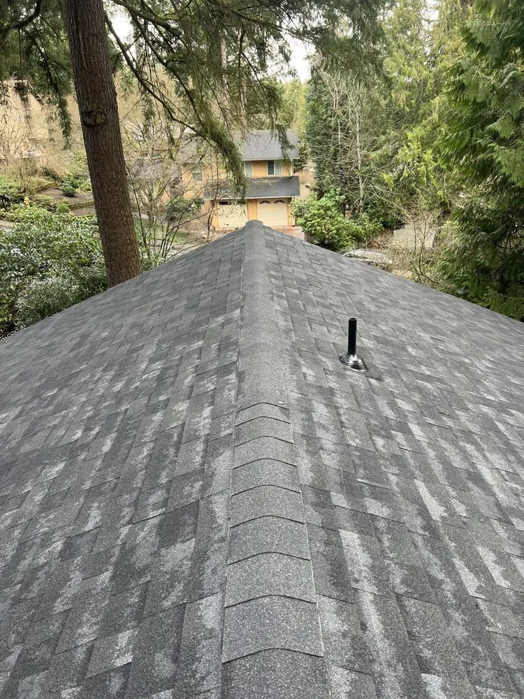 Slide of Lake Construction & Design