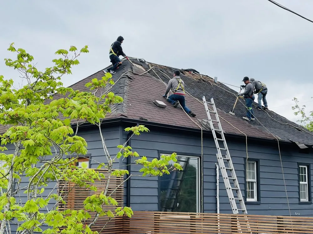 Slide of Lake Construction & Design