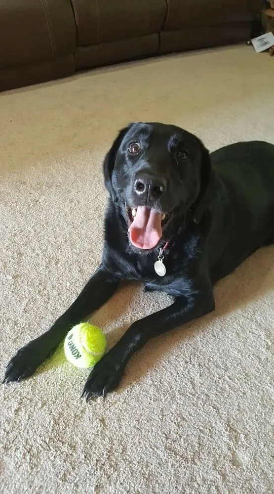 Slide of Lakes Home Improvements