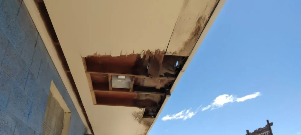 Slide of Lammers RnF