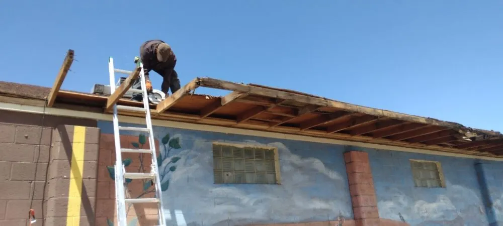 Slide of Lammers RnF