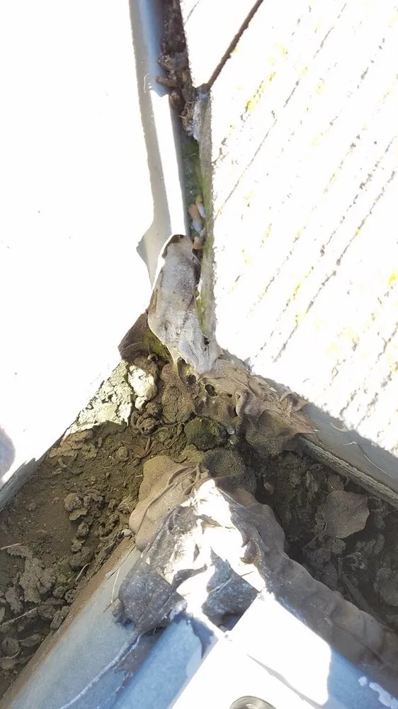 Slide of Landeros Roofing Solutions