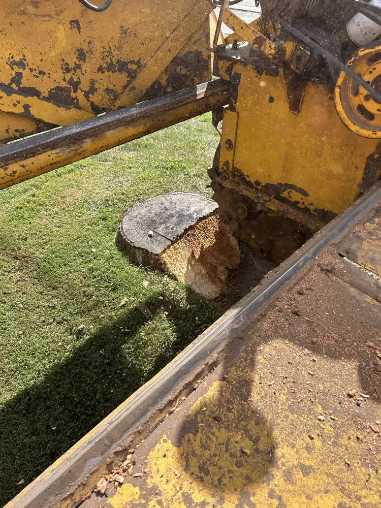 Slide of Landers Stump Removal