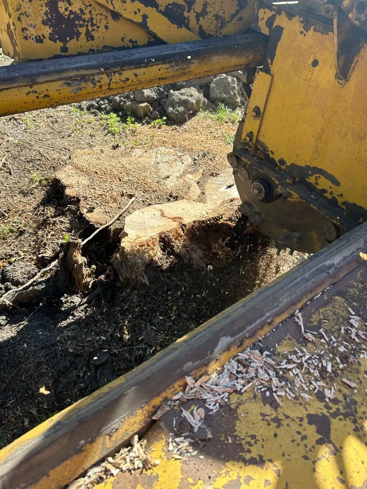 Slide of Landers Stump Removal