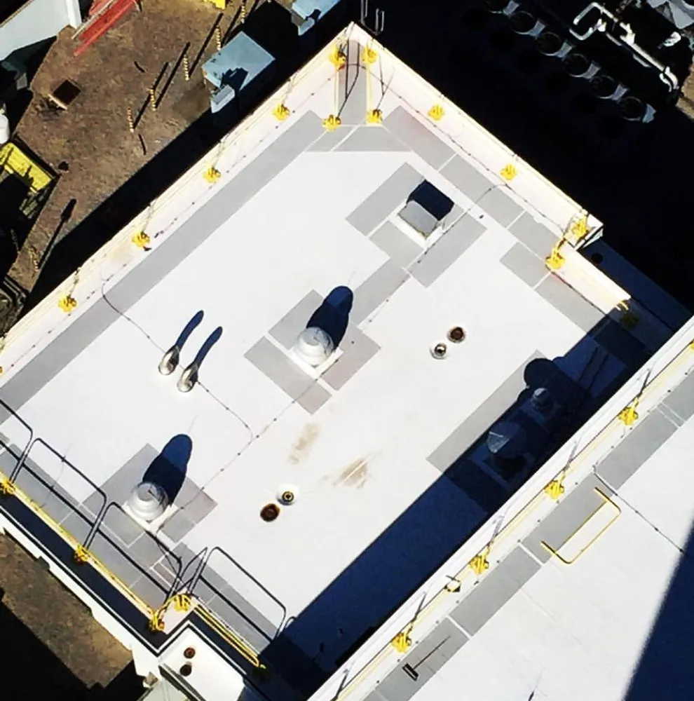 Slide of Langham & Sons