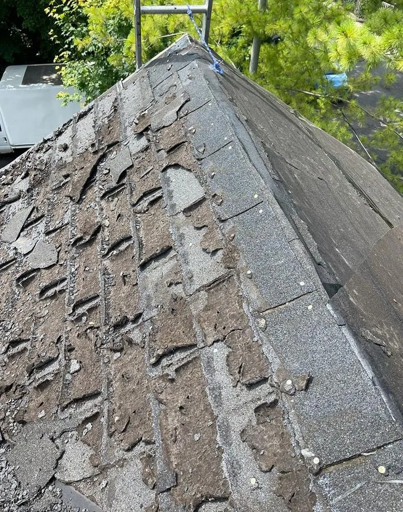 Slide of Lanier Heights Roofing