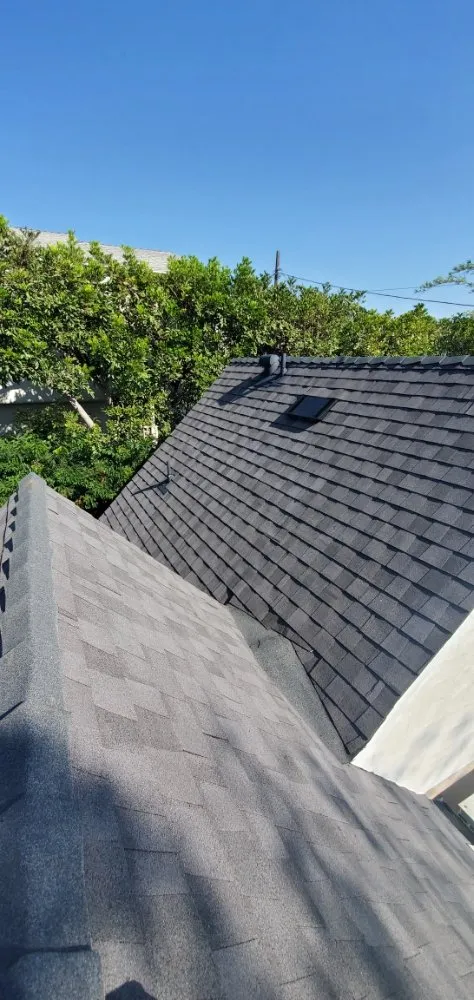 Slide of Lara's Roof