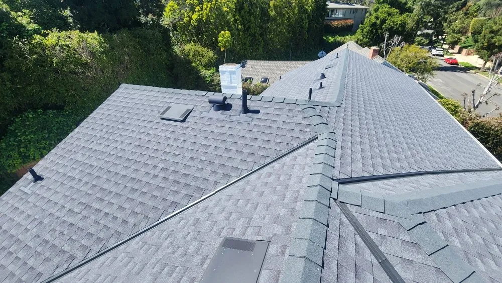 Slide of Lara's Roof