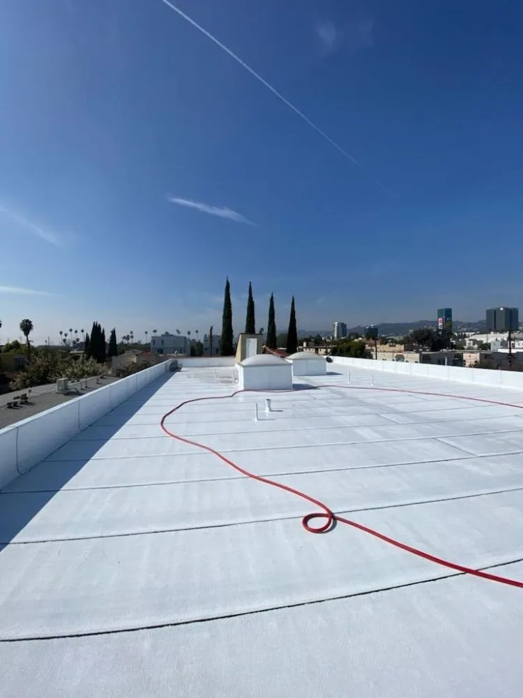 Slide of Lara's Roof