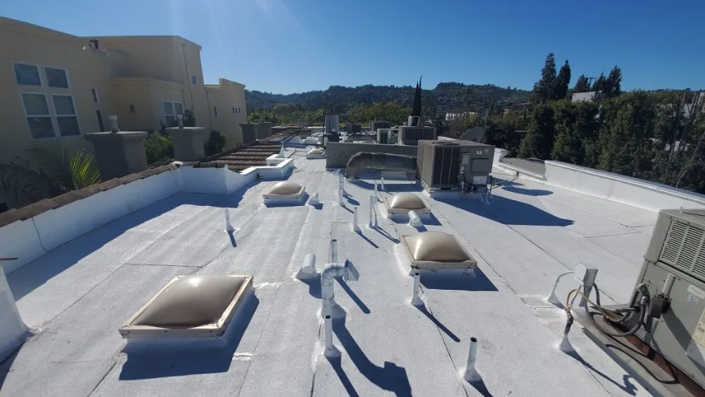 Slide of Lara's Roof