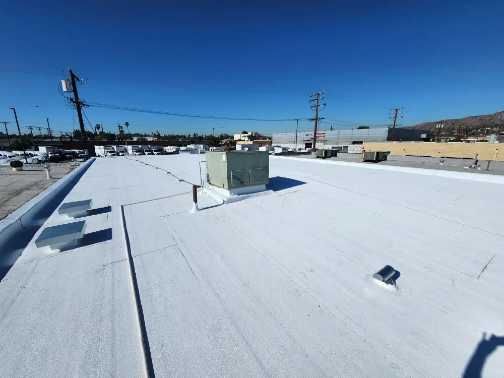 Slide of Lara's Roof