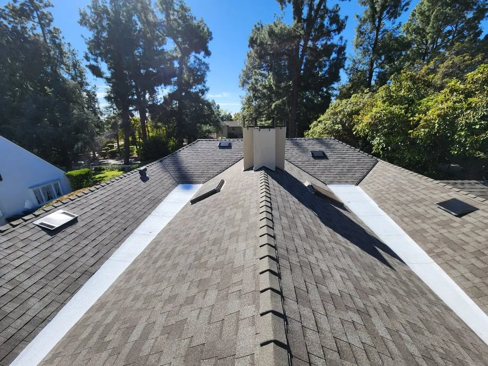 Slide of Lara's Roof