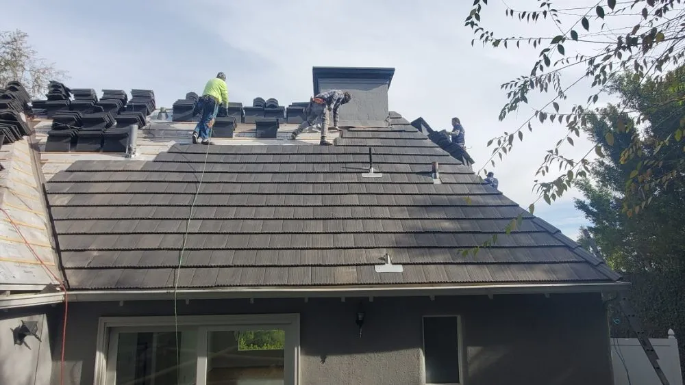 Slide of Lara's Roof