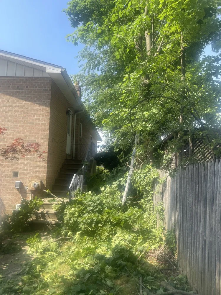 Slide of Lario’s Construction