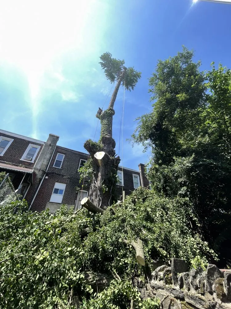 Slide of Lario’s Construction