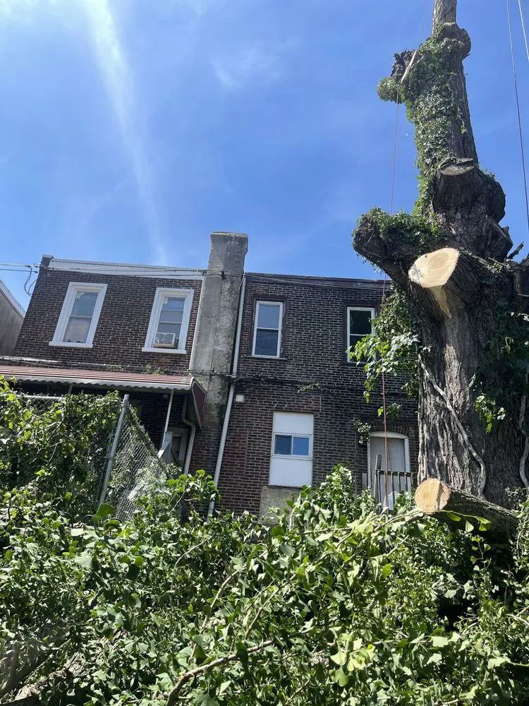 Slide of Lario’s Construction