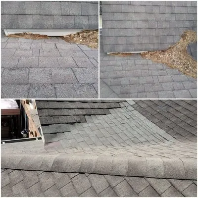 Larry Kuhn Roofing and More Logo