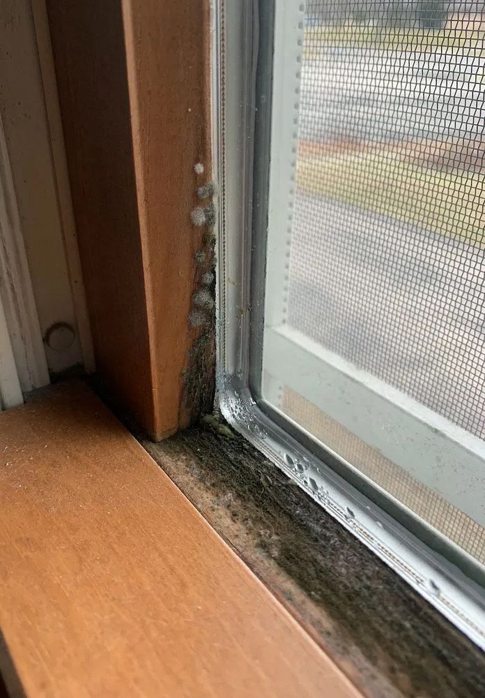 Reliable roof repair in Arlington, WI by Larson Home Services