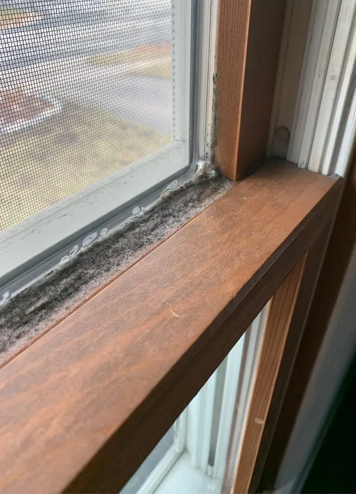 Emergency roof leak repair in Arlington, WI by Larson Home Services
