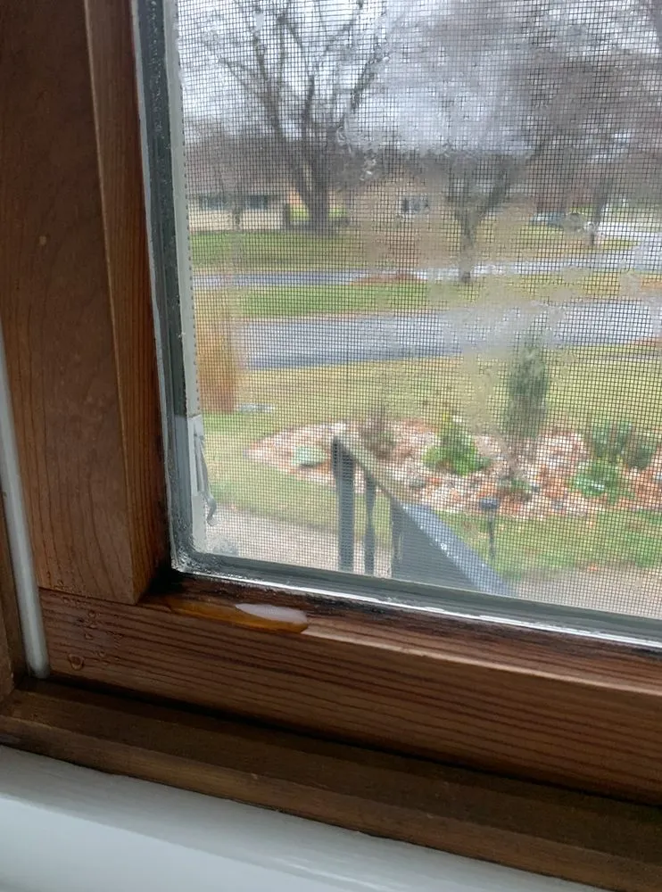 Top-rated roof leak repair for residential properties in Arlington, WI by Larson Home Services