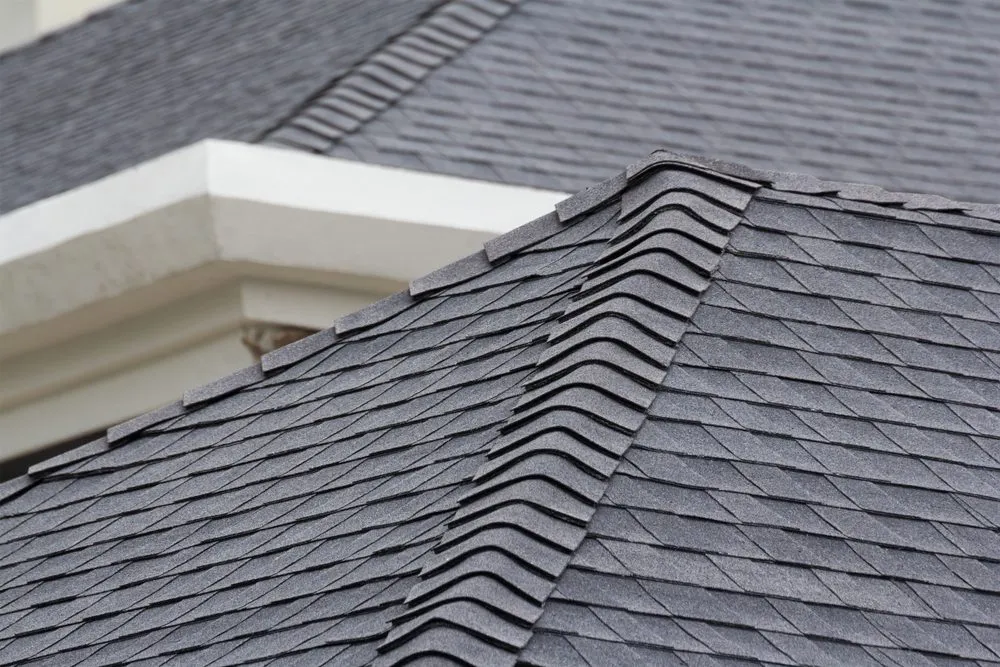 Slide of Lasting Roofs