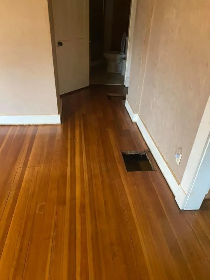 Slide of Late For Dinner Remodel