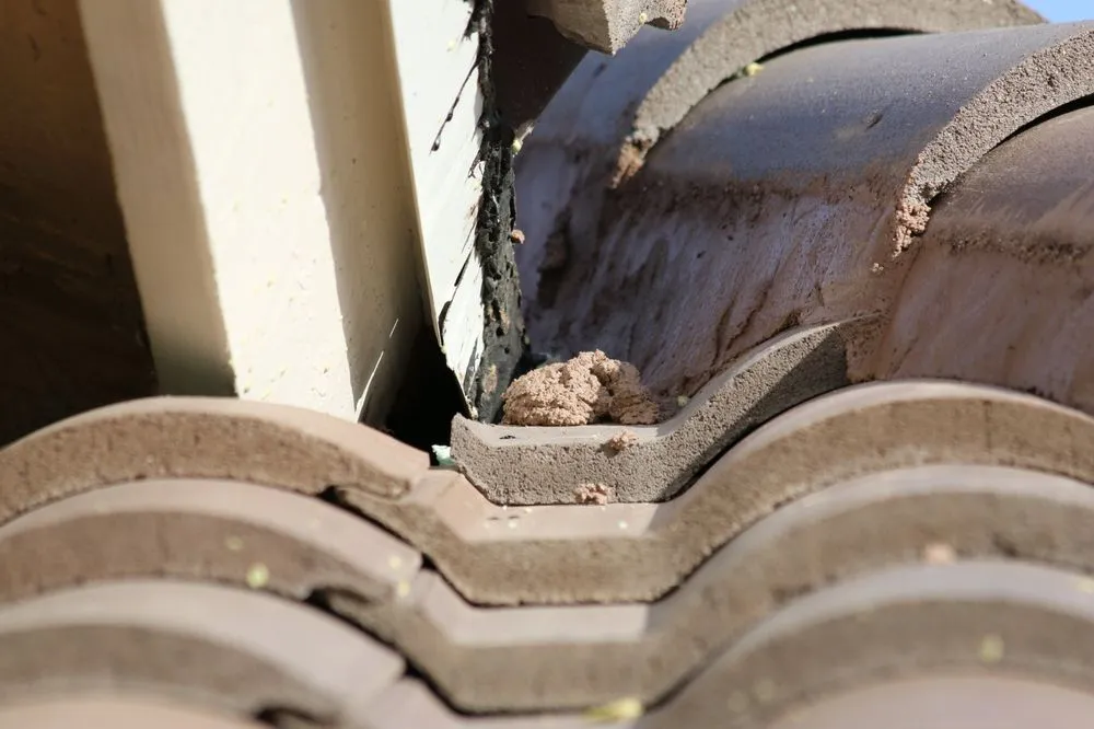 Slide of Latite Roofing and Sheet Metal