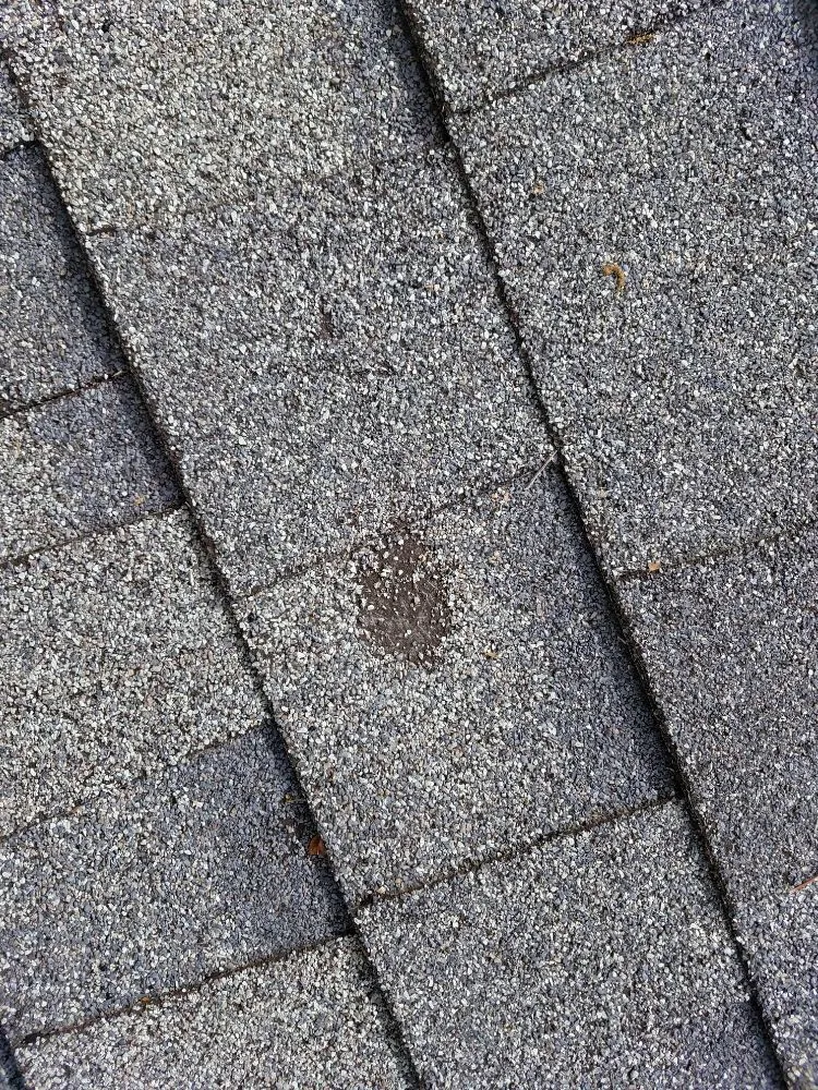 Slide of Law Roofing