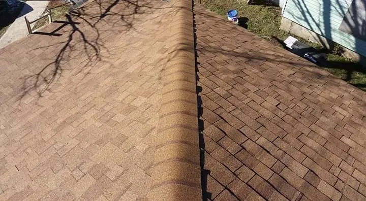 Slide of Layne's Construction & Maintenance