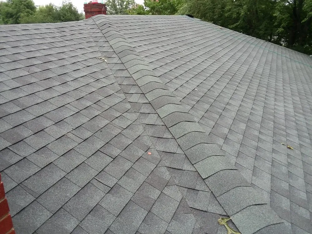 Slide of Layne's Construction & Maintenance