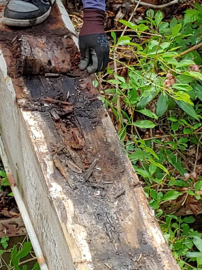 Slide of Leading Edge