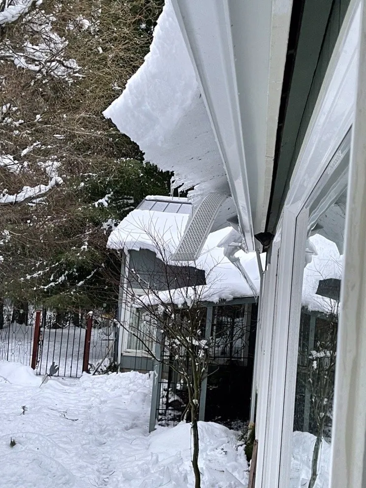 Slide of Leaf Filter